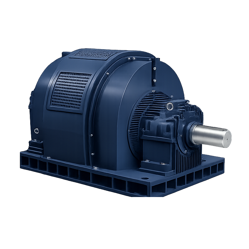 SDN/SDNZ Series General-purpose High-Voltage Synchronous Motors